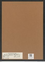 Aulacodiscus huttonii Gr. et St. (de-Toni-Nr.: Genus 182, Species 4549) Zeichnungen Sammlung Grunow Mappe 04472 (Herbarium_W_Grunow_drawings_Folder_04472)